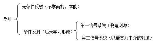 20150730050136855