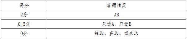 评分标准
