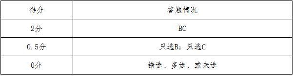 评分标准