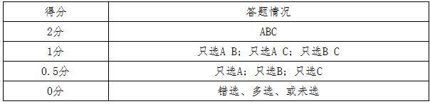评分标准