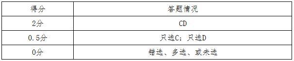评分标准