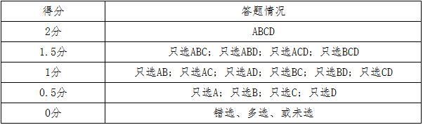 评分标准