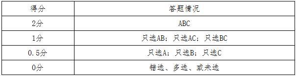 评分标准