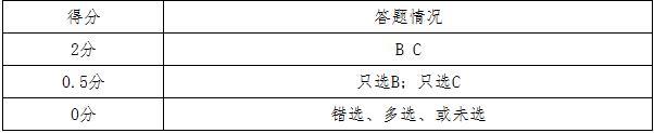 评分标准