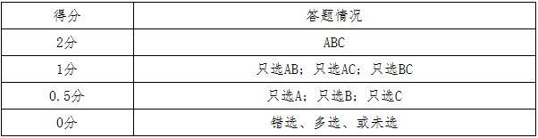 评分标准